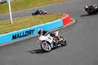 enduro-digital-images;event-digital-images;eventdigitalimages;mallory-park;mallory-park-photographs;mallory-park-trackday;mallory-park-trackday-photographs;no-limits-trackdays;peter-wileman-photography;racing-digital-images;trackday-digital-images;trackday-photos